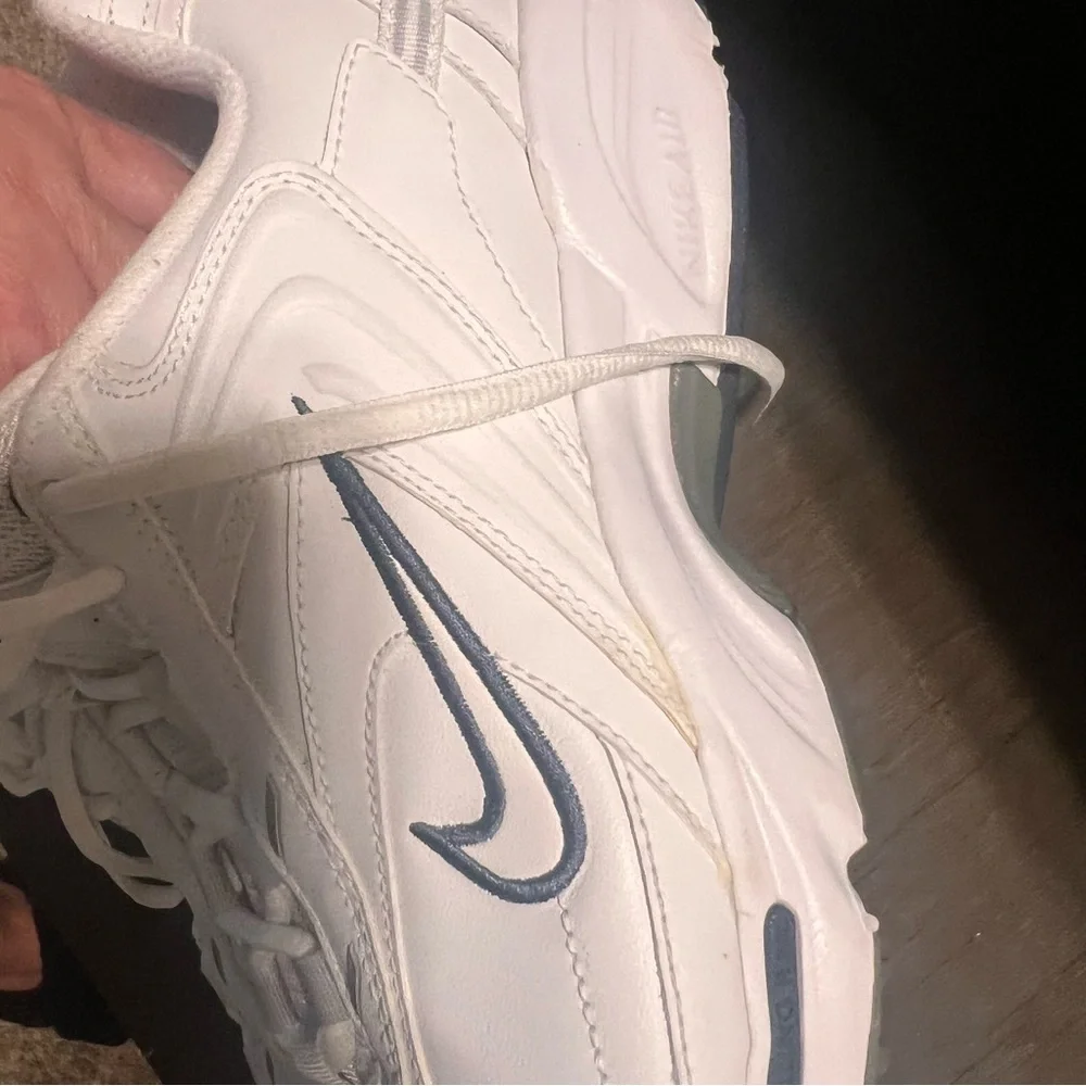 Nike Men’s Vintage Rolling Rail Walk